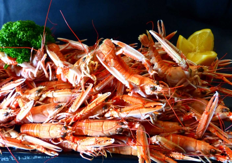 plateau-langoustine-lannion